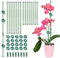16pz Bastoncini di Supporto Sostegno per Piante Rampicanti, 30cm e 20cm, Stecche Piante, Mini Tutori Verde Paletti per Fiori in Vaso Orchidee Pomodori