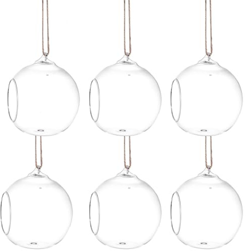 Toyvian 6 Stück Glas Terrarien mit Flacher Unterseite und Juteseil Hängende Pflanzenvase aus Transparentem Umweltfreundlichem Material für Sukkulenten und Heimdekoration