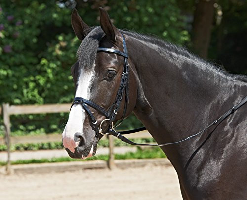 Trense EASY Warmblut HOCHWERTIGER KUNSTSTOFF mit Polyestereinlage ENGLISCH-KOMBINIERT