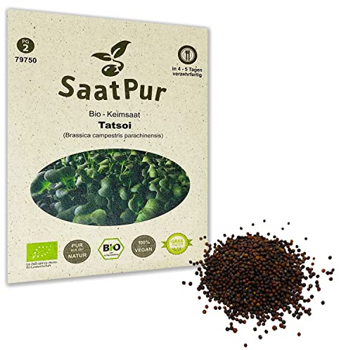 Tatsoi BIO Keimsprossen von SaatPur - Keimsaat für Sprossen, Microgreens - 20g