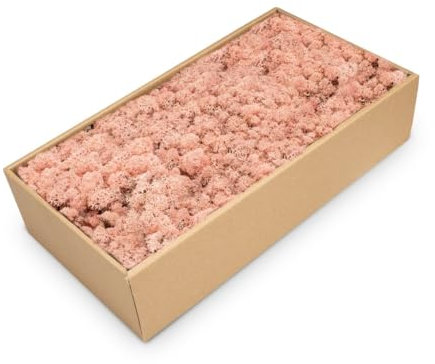 NaDeco Islandmoos in Natur und 30 weiteren Farben zur Auswahl | Deko-Moos | Rentier-Moos | Reendier Moos | Bastel-Moos | Dekomoos | Moos-Deko, Farbe:Pink