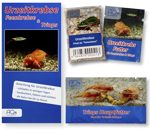 AQ4Aquaristik Triops sp. Gonochoric - Starter Set ca. 100 Urzeitkrebse Eier - mit Aufzuchtfutter, Hauptfutter und Anleitung