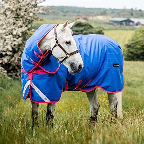 Amigo Bravo 12 Pferdedecke, reflektierend, Größe M, Blau / Pink, 2,1 m