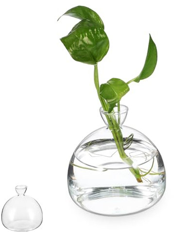 Sosoport Glasvase Für Pflanzen Klare Glasblumenvase Runde Glasvase Zur Dekoration Glasblumentopf Für Hydrokultur Klare Glasvasen Für Blumenarrangements