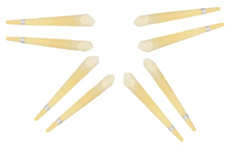GALPADA Große Bienenwachs Aromatherapie 8 Stück Trompetenförmig mit Sicherheitsmarkierung zur Ohrenschmalzentfernung Entspannend und Beruhigend