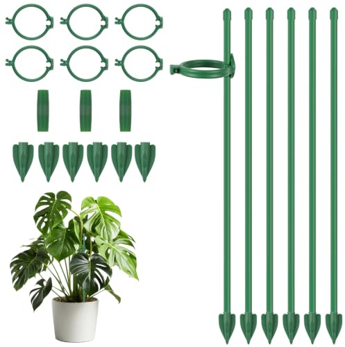 ANOMM 21 Pz Kit di Supporto per Piante, Bastoncini di Supporto da Interno | Include Presa a Pavimento, Tubo di Collegamento, Asta e Clip di Fissaggio, Adatto per Orchidee, Monstera Deliciosa, Rose
