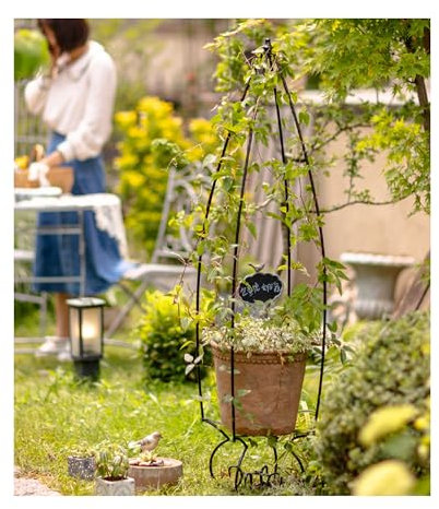 Rankgitter Metall Himbeeren Rosen Rankhilfe, Rosenspalier für den Innenbereich, Obeliskenspalier und Tomatenkäfig, Pflanzenstütze, Zimmerpflanzenspalier für Topfpflanzen (Color : Nero, Size : Small