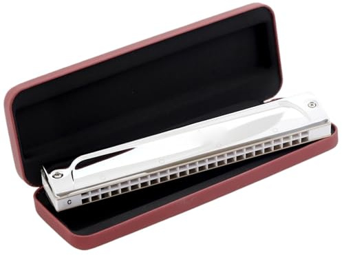 Professional Mundharmonika 24 Löcher Tremolo Mundharmonika Professionelle Mundharmonika Für Spieler Anfänger Geschenk(A SHAPE)