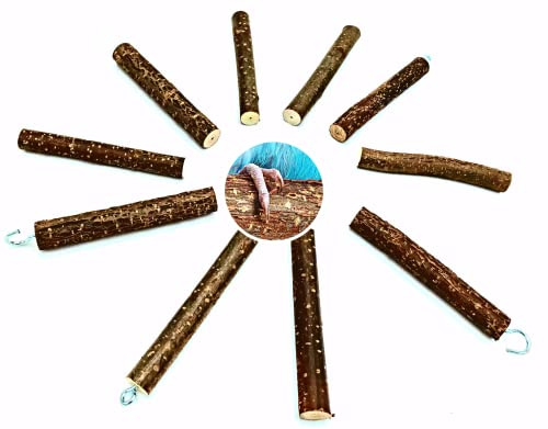 Vogelgaleria® 10 Ersatz Sitzstangen für unseren Vogelbaum HiFly - aus frischem Naturholz, handverlesen, vorgebohrt - für Wellensittiche und andere Vögel