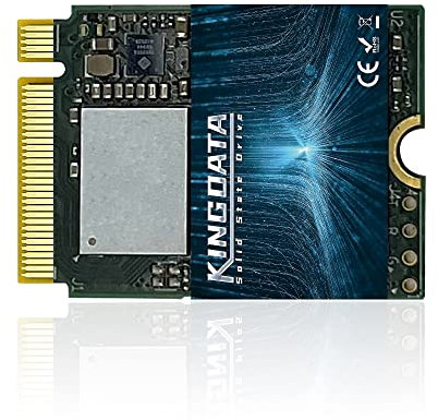 KINGDATA - Disco Duro Interno M.2 2230 SSD 256GB NVMe PCIe Gen 3.0x4 para PS5, Steam Deck, Microsoft Surface, Ultrabook, Ordenador portátil, Escritorio, GPD (M.2 2230 NVMe PCIe 3.0, 256 GB)