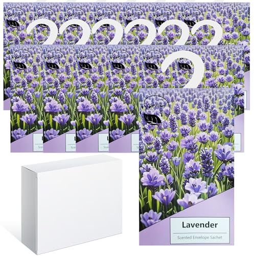 14PCS Saquitos Armario ambientador Lavanda, Perfumador Ropa, Ambientador Armario Ropa Limpia, Bolsa Guardarropa, Hogar Saquitos Armario Ropa, Bolsita Refrescador para Coche, Zapatero (Lavanda)