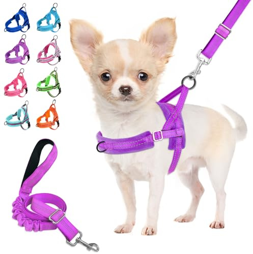 Lukovee No Pull Dog Harness and Leash Set, Soft Padded Small Dog Harness, Neck & Chest Adjustable Reflective Vest Puppy Harness with 4ft Lightweight Anti-Twist Dog Leash for Small Dogs (S, Purple)