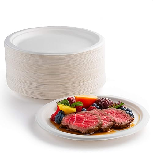 Piatti Carta Bianco Piatti Usa e Getta Piatti di Carta Biodegradabili e compostabili Riciclabile Bagassa di Canna da Zucchero Ecologici Piatti (22,8CM, 100PCS)
