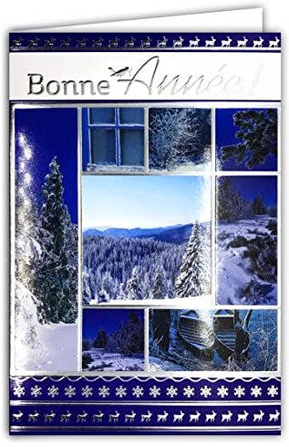 AFIE Karte Frohes Neues Jahr, Silberfarben, mit Umschlag, Natur im Winter, Schneeflocken, Wald, Weihnachtsbaum, Landschaft, Berg, Vogel, Hirsch, Rentier, Boote, Wasser, Blau, Gelee, 61-4053-B BA