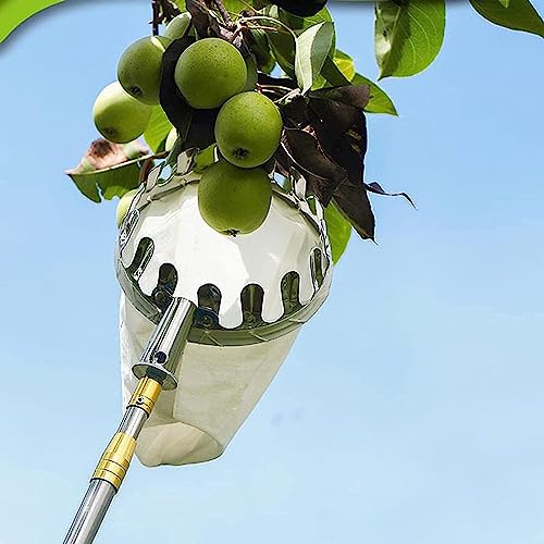 Eficiente herramienta para recoger frutas. Recogedor de frutas ligero de acero inoxidable extensible con mango telescópico. Ideal para cosechar peras, melocotones y granadas. Práctica ayuda de cosecha