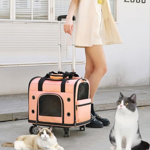 Pucaru Zusammenklappbarer Haustiertransporter mit Rädern, Rollender Katzen-/Hundetransporter, Leicht, Atmungsaktiv, für den Außen- Oder Innenbereich