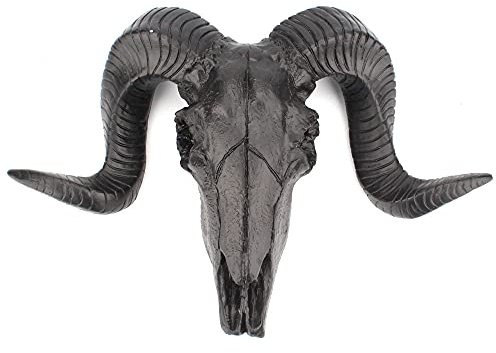 HOQUSA Skeleton Sheep Head Wall Sculpture, Sheep Horn Skull Wall Hanging Resin ram Decoration, ram Skeleton Sculpture Hanging Art Collection, Decoration Used for Homes, Offices, Living Rooms (Black)