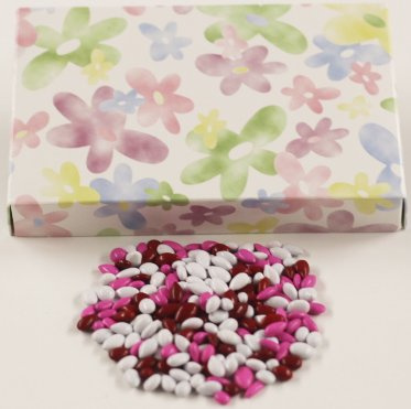 Scott's Cakes Valentine's Day Mix Chocolate Covered Sunflower Seeds in a 1 Pound Daisy Box
