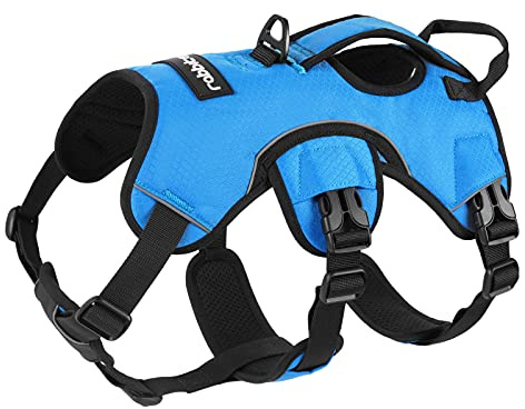 rabbitgoo Hundegeschirr Grosse Hunde，Sicherheitsgeschirr Hund | Sicherer Hebegriff, einfache Kontrolle, Anti-Zug, verstellbar, Reflektierend, für Gassi & Training, L, Blau
