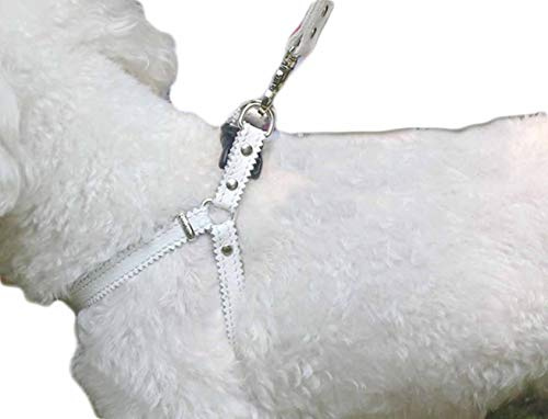 Hundegeschirr Kleine Hunde Leder Verstellbar feiling Hundegeschirr Welpen Brustgeschirr Haustier Ausbruchsicher Katzengeschirr Ledergeschirr Weichem mit 1.3m Hundeleine Leder (Weiß)