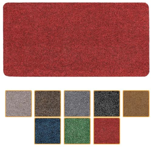 ANRO Fußmatte Schmutzfangmatte Türmatte rutschfest Fußabstreifer abwaschbar robust für Eingang, Haustür, Flur innen & außen Poet, 40 x 80 cm (Rechteckig)