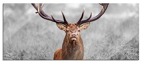Pixxprint Glasbild Panorama, Wandbild aus Echtglas, Großer Hirsch im Feld, 120x50 cm, inkl. Aufhängung und Abstandshalter