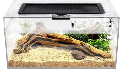 Clioran Reptile PC Terrarium Amphibian Tank Spider Enclosure Snake Cage 7x11.8x5.9inch Suitable for breeding Leopard Gecko,Frog,Hermit Crab,Lizards,Isopod,Tarantula,Turtles,Chameleons,Jumping Spiders
