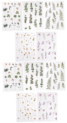COHEALI 10 Stk Pflanzenmaterial Hübsche Aufkleber Gänseblümchen-Aufkleber Grün scrapbooking sticker scrapbook stickers dekorative Aufkleber Vintage Scrapbook-Aufkleber das Haustier