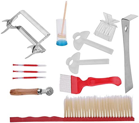 TOPINCN Imkere Werkzeuge Kit Edelstahl Robustem Kunststoffgriff Bienenstock Bee Pinsel Markierung Käfig Extrahieren Gabel 12 Stücke