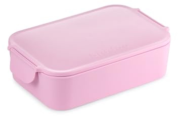 Biddoo Contenitore per il pranzo per bambini con scomparti con posate, a prova di perdite, senza BPA, per la scuola, l'asilo, il campeggio, il picnic, il bento Box, il contenitore per snack sicuro, il