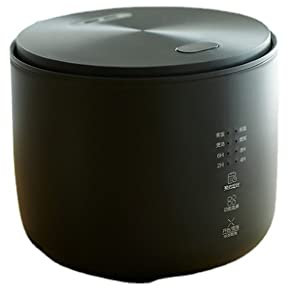QWAXTRIW 1-2 Personnes ménage 2L Petit cuiseur à Riz Multifonction Cuiseur à Riz de Cuisine Automatique (Color : Wit, Size : 41cm)