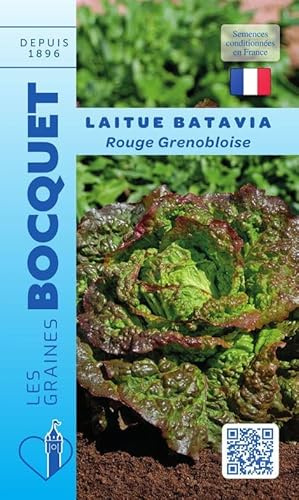 Sachet de graines de Laitue Batavia Rouge Grenobloise - 4 g - Les Graines Bocquet