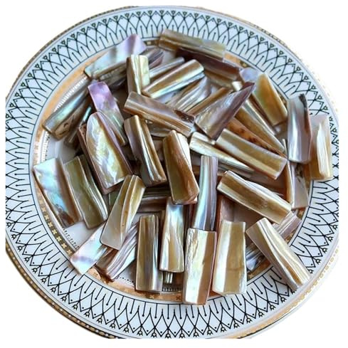 MZPOZB Mosaiksteine 100 g quadratisch, rund, sechseckig, fächerförmig, Fischschuppen, reine weiße Muschel, Perlmutt-Mosaikfliesen for Basteln