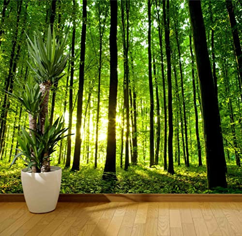 Wall Art Desire Autumn Green Forest Wall Mural Photo Wallpaper Trees Woodland Decal (Paper 220gsm Premium, XX Large 3000mm x 2400mm)