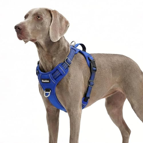 Funfox Hundegeschirr Grosse Hunde [XL] - Verstellbares Anti-Zug Brustgeschirr mit Griff & Reflektorstreifen, Atmungsaktives No Pull Hundegeschirr für Grosse/Mittelgroße Hunde Outdoor Blau