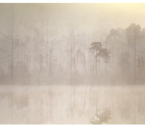 decomonkey Premium Fototapete Wald Vintage 450x315 cm Design Tapete XXL Fototapeten Vlies Tapeten Vliestapete Wandtapete moderne Wand Schlafzimmer Wohnzimmer Landschaft See Baum Nebel Beige Grau