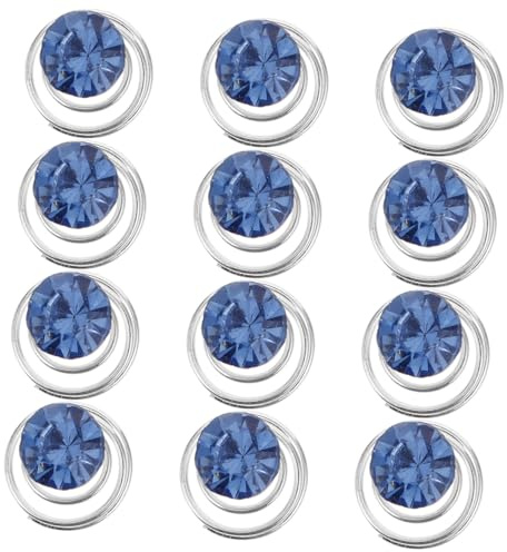 Gogogmee Stk Braut Haarnadel Frauen Haarnadel Spiral- Hochzeitsdekorationen Für Die Zeremonie Spule Spiralförmige Spiralen Clip Haarjuwel Klare Haarspangen Blue
