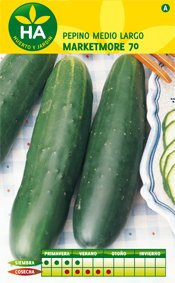 Semences Pepino Marketmore moyen sur