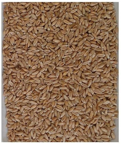 Naturhaus-Kaiser Núcleos de espelta, 2 kg, sueltos para cojín térmico, cojín de semilla de uva, cojín frío, relleno de núcleos de uva, masaje de pies, masaje de manos, terapia ocupacional,