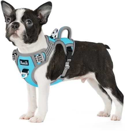 Eyein Hundegeschirr für Hunde mit 2 Clips und leicht zu bedienendem Griff | Anti Zug Brustgeschirr für kleine Hunde, Verstellbare & reflektierende Geschirr für tägliches Training (Blau, S)