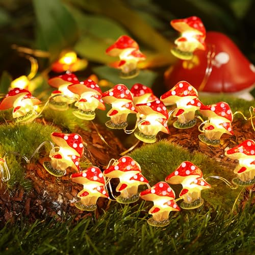 Coquimbo Mushroom Fairy Lights, 3M 30LED Room Lights Battery Operated | Mushroom Lights, Room Decor for Bedroom, Party, Christmas, Wedding, Patio, Indoor, Outdoor Use, Gifts for Women Kids