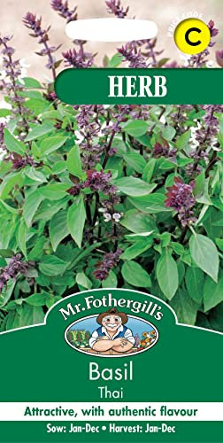Mr Fothergill's 11483 Herb Seeds, Basil Thai, Green
