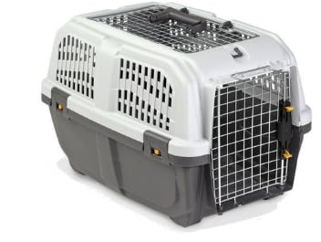 Pet's Market - Trasportino Skudo Open Iata per gatti Scatola da trasporto per animali domestici con apertura superiore e porta in metallo colore grigio (48X31,5X31)