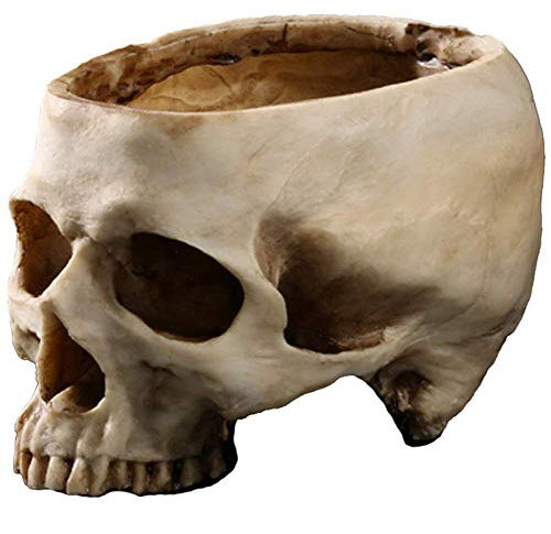 Qivange Resin Skull Head Flower Pot Halloween Decorations Plant Bowl Multifunctional Skull Plant Pot Container for Festival Home