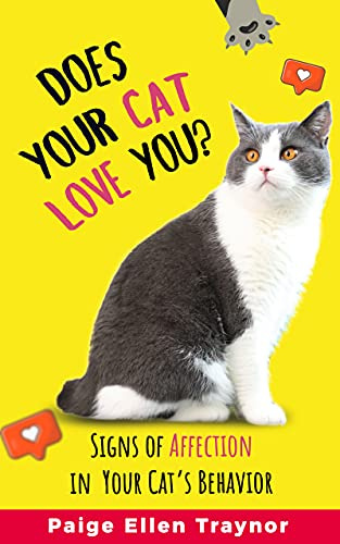 Does Your Cat Love You?: Signs Of Affection In Your Cat's Behavior