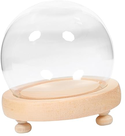 Abaodam Glass Cover Ornaments Preserved Flower Display Dome Wooden Base for Living Aesthetic Decor Flower Coverings