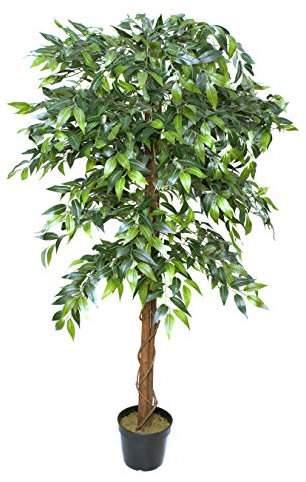 Premium Artificial Ficus Weeping Fig Tree 160 Cm/ 5 Ft Potted Plant