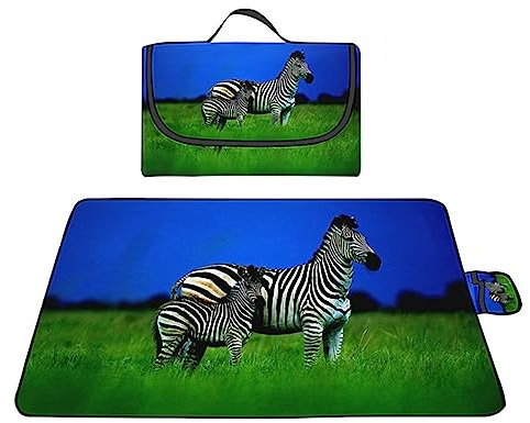 Yoonqun Picknickdecke 200x150cm,Wasserdicht Strandunterlage,Grünes Gras Zebra Stranddecke XXL Weiche Campingdecke mit Tragegriff Strandmatte für Park,Garten,Strand,Waschbar