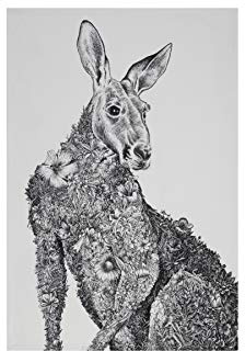 Maxwell & Williams Marini Ferlazzo Geschirrtuch mit Tiermotiv Känguru 100% indische Baumwolle, weiß, 50 x 70 cm