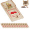 Relaxdays Trappole per Topi e Talpe, Set da 12 Rat Trap Classiche Riutilizzabil, Senza Veleno, Metallo e Legno, Naturale